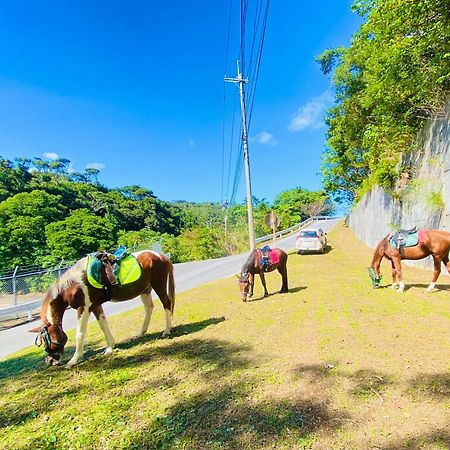 今帰仁村 夢有民牧場ヴィラ エクステリア 写真