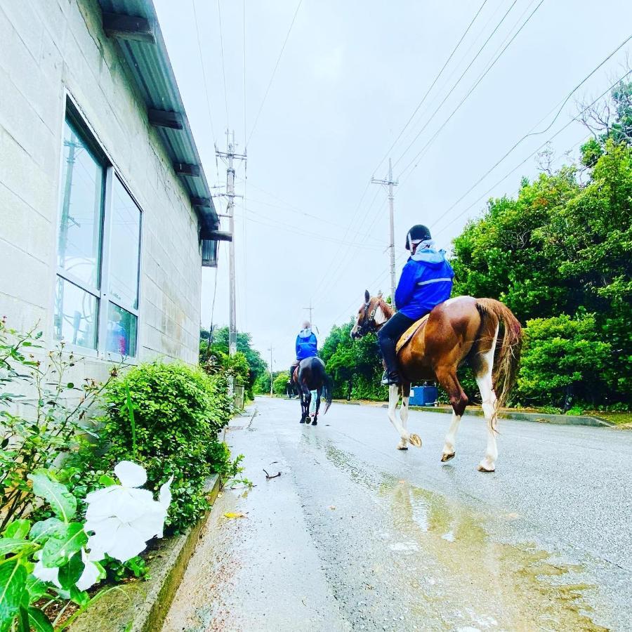 今帰仁村 夢有民牧場ヴィラ エクステリア 写真