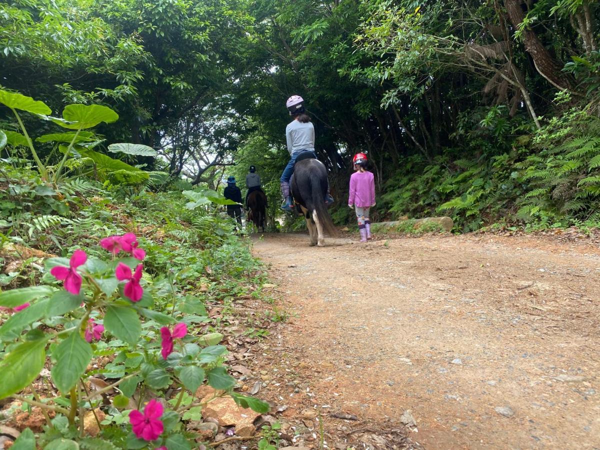 今帰仁村 夢有民牧場ヴィラ エクステリア 写真