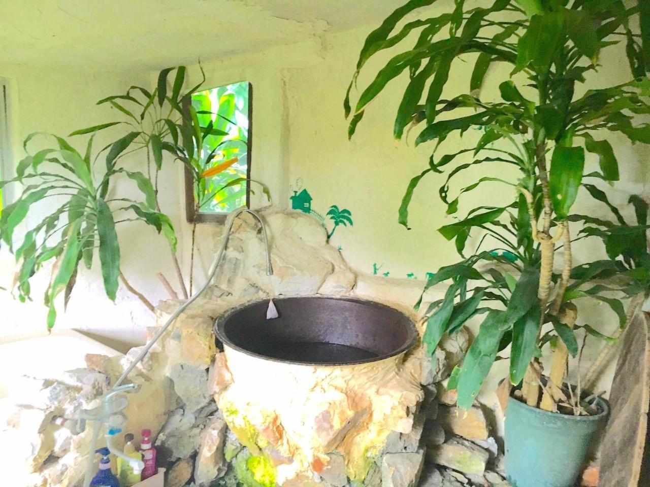 今帰仁村 夢有民牧場ヴィラ エクステリア 写真